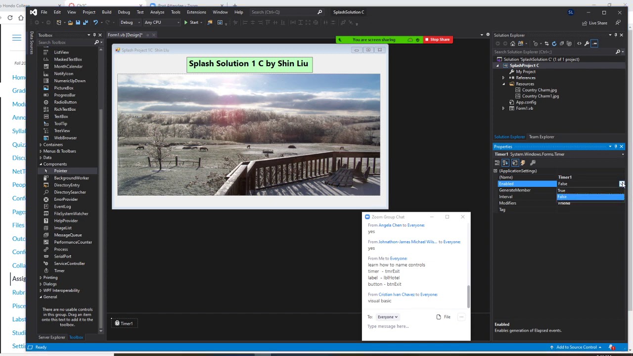 Visual Basic Project use a timer to display a picture as splash screen ...