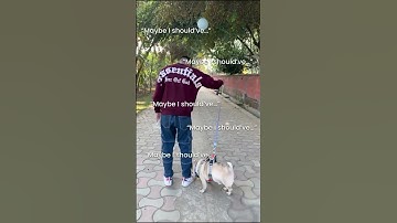 #safespacecoach  #safespace #perspective #mindsetshift  #changeyourmindset