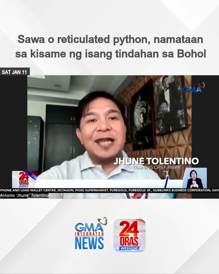 Sawa o reticulated python, namataan sa kisame ng isang tindahan sa Bohol | 24 Oras Weekend