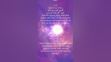 ما تيسر من سورة النمل - الشيخ محمد المحيسني