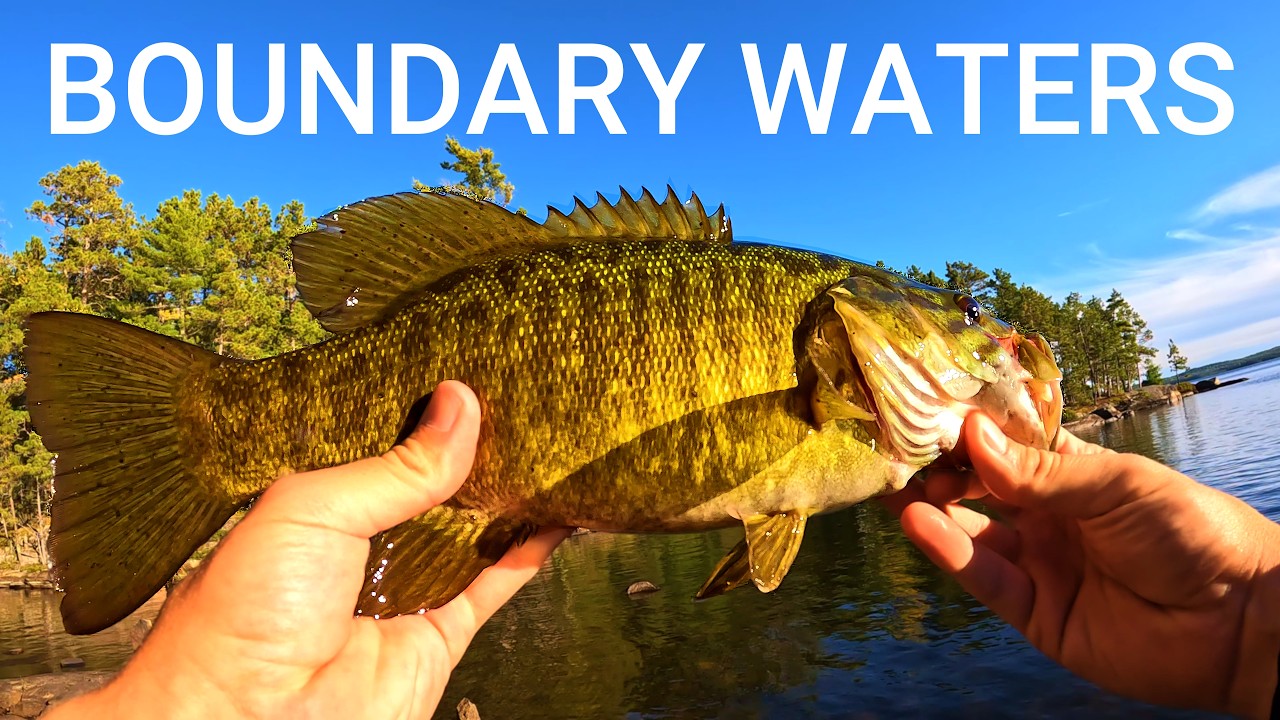 Boundary Waters Shore Fishing For Smallmouth Bass