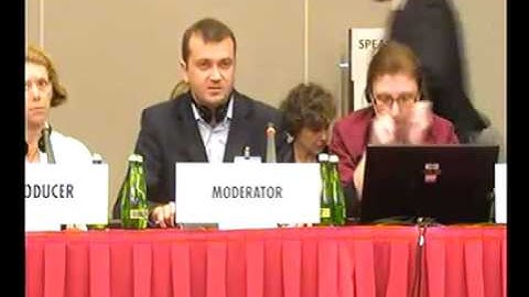 Working Session 14: Fundamental Freedoms (continued)