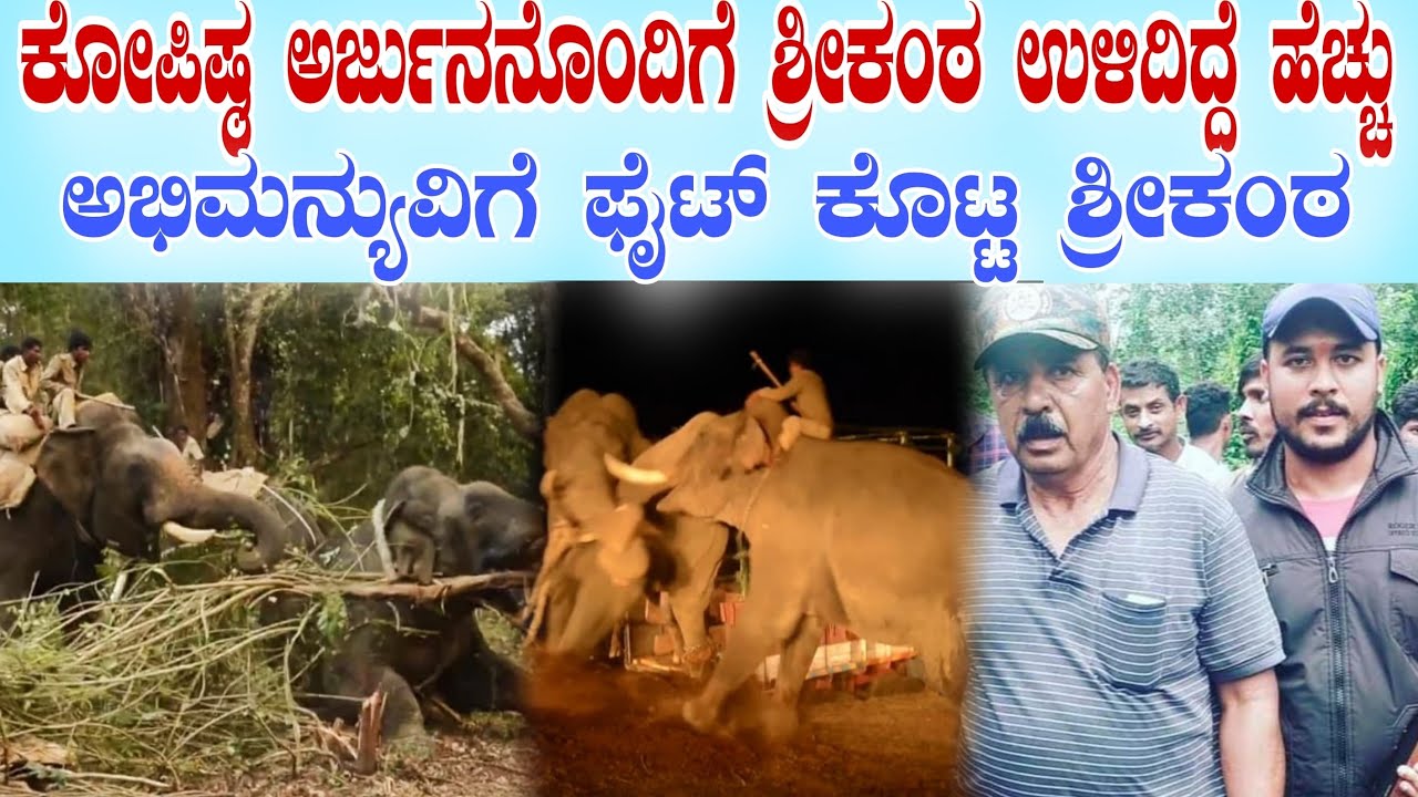 ಕೋಪಿಷ್ಠ ಅರ್ಜುನನೊಂದಿಗೆ ಶ್ರೀಕಂಠ ಉಳಿದಿದ್ದೆ ಹೆಚ್ಚು |ಅಭಿಮನ್ಯುವಿಗೆ ಫೈಟ್ ಕೊಟ್ಟ ಶ್ರೀಕಂಠ  #abhimanyuelephant