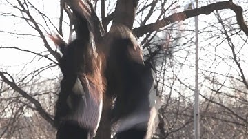 kate & Jimmy (Music Video).f4v