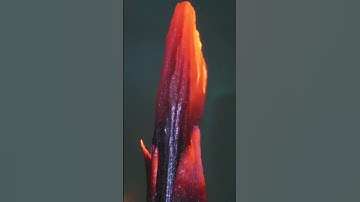 Burning with a burner different objects