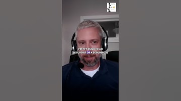 Embrace dumb questions