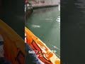 #シーバス #釣り