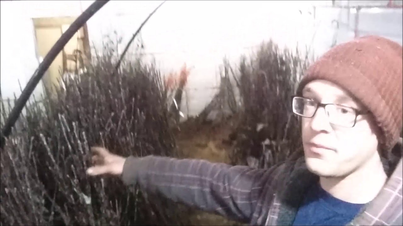 Silver Creek Nursery Packaging Room Tour