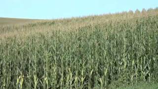 FB-Cost of Farming (From Ag PhD #549)