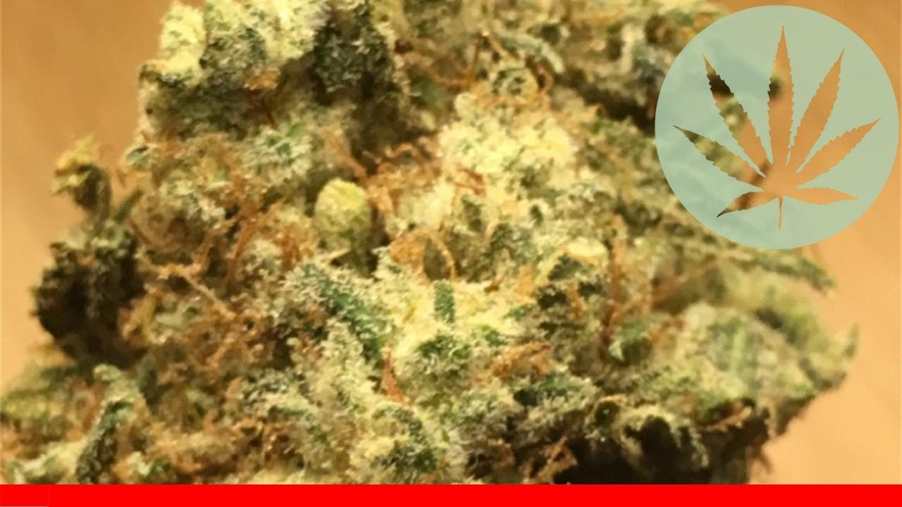 A-Dub - All About This Strain