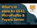 What's in store for EE4J, MicroProfile & Payara Server