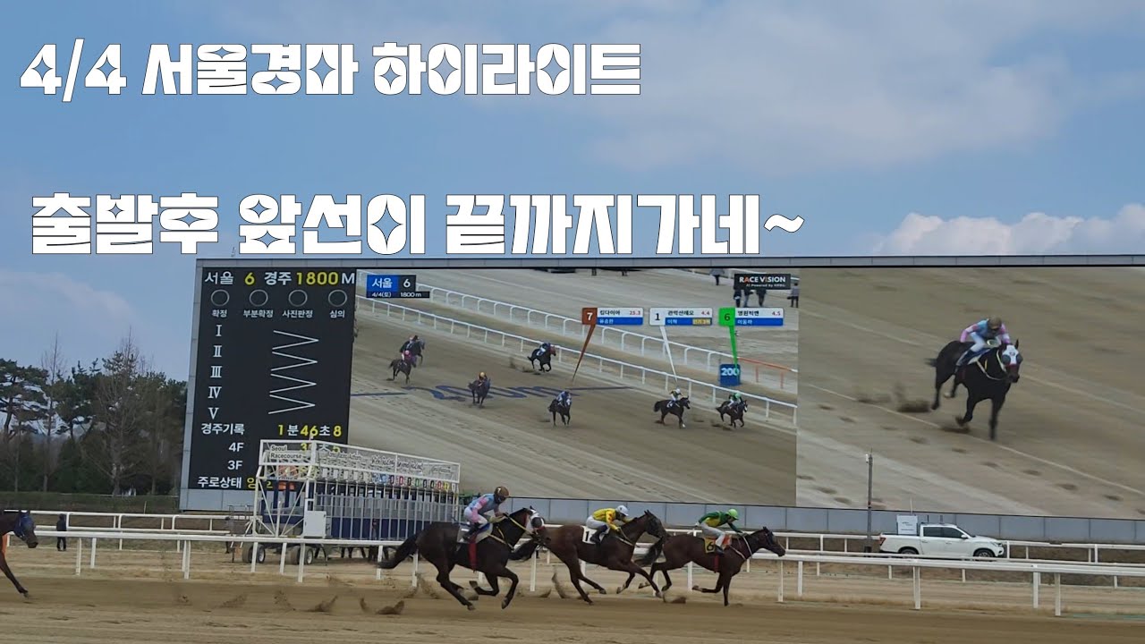 말 세마리가 손잡고 날라가니 뒤쫓던 말들이 방법이 없읍니다!