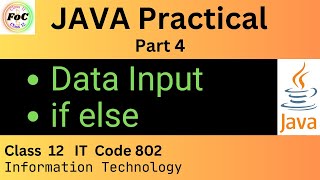 Exclusive if else | Data Input | Java Programming Practical | Class 12 Information Technology IT Code 802 Exam Profile