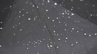 Laat De Lente Los- Mariona Smets