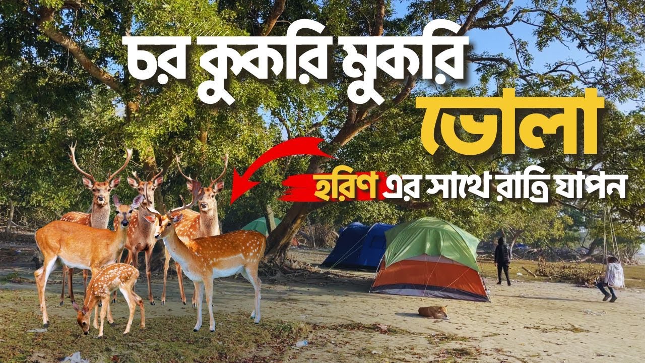 চর কুকরি মুকরি ব্যাচেলর ট্যুর , ক্যাম্পিং || Char Kukri Mukri Bachelor Tour, Camping, Bangladesh ||
