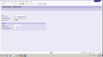 Expert Guide to Vendor Master Record SAP MM