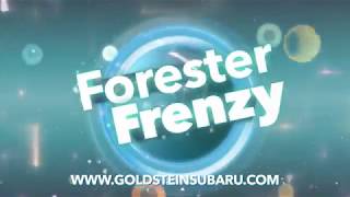 Subaru Forester Frenzy at Goldstein Subaru - Albany NY 12205