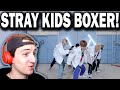 Stray Kids "Boxer" Special Video REACTION!