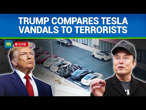 Trump says those sabotaging Teslas will face up to 20 years in jail | Calls Vandals Terrorist | N18G Episode cover