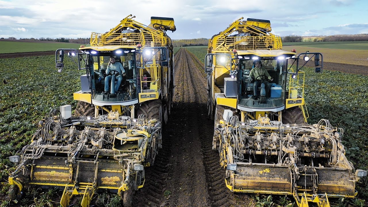 ARRACHAGE DE BETTERAVE AVEC L'ETA SOREL : 3 arracheuses ET 1 transbordeur + UNE SURPRISE !!
