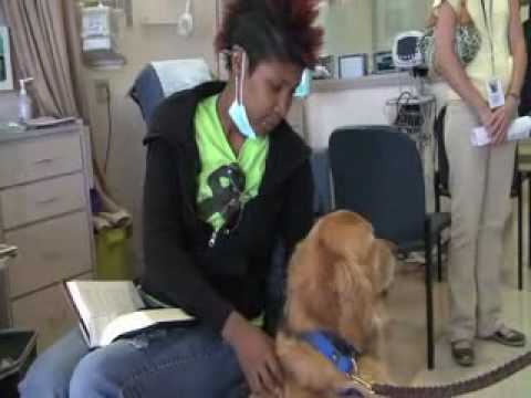 Pet Therapy for Cancer Patients