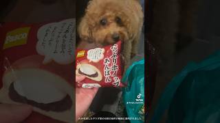 38歳独身トイプ暮らしの買い物