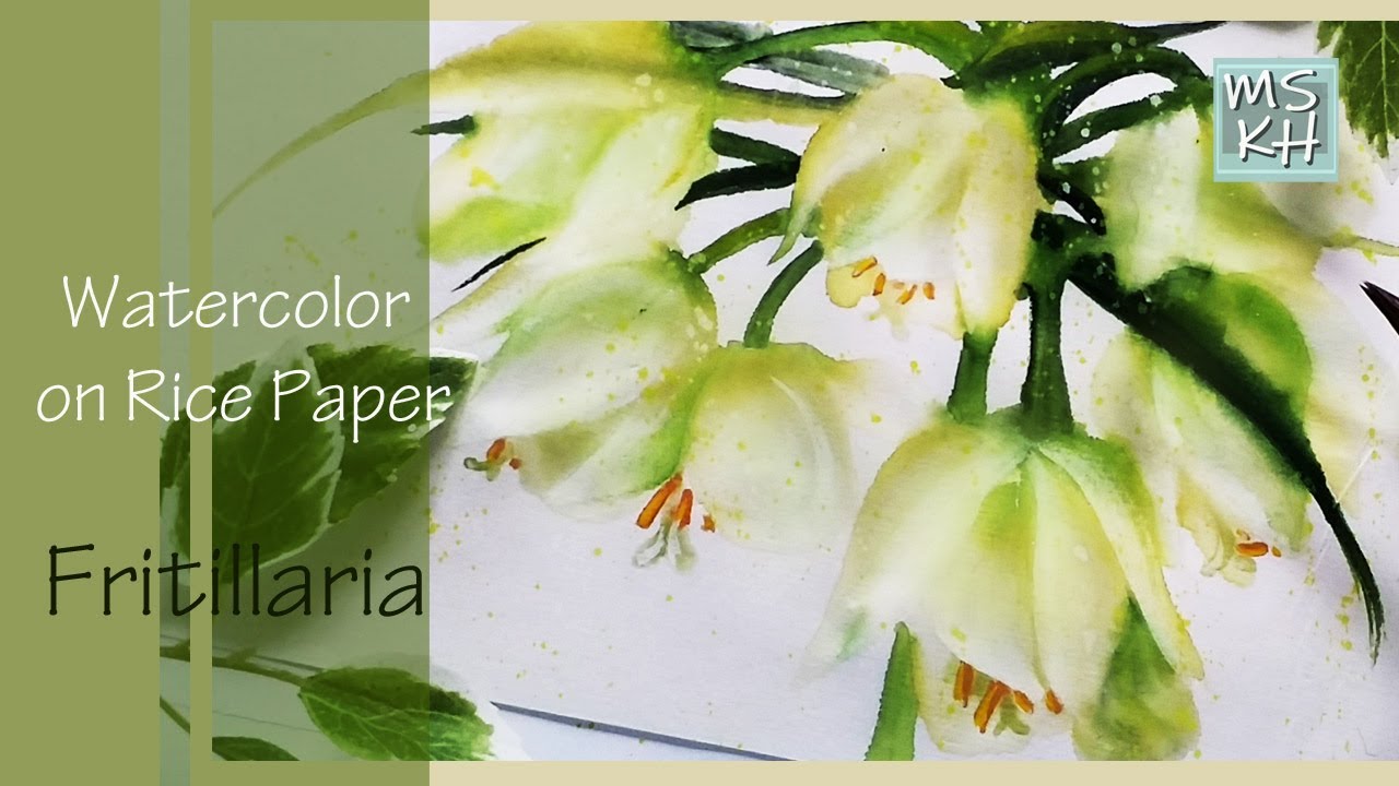 How to Paint Watercolor on Rice Paper/Painting Flower Fritillaria/MSKH ART/한지위에 수채화/꽃그림/취미그림/캘리/수묵일러