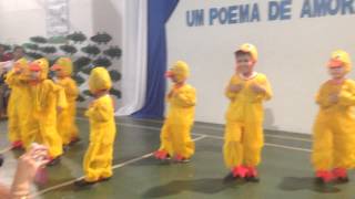 Maternal Matutino Canta O Pato - Vinicius De Moraes