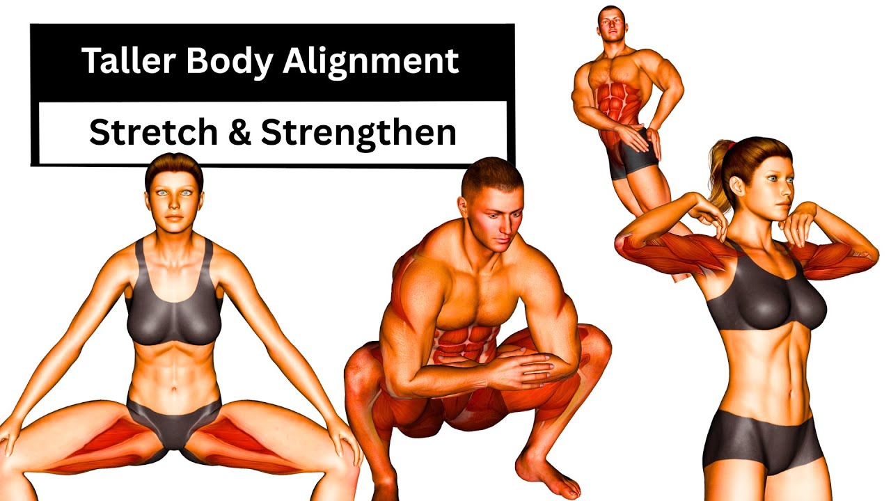 Taller Body Alignment Workout | Stretch & Strengthen Your Spine at Home
