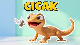 Cicak Cicak di Dinding - Animasi 3D Kartun Lucu & Lagu Anak Indonesia