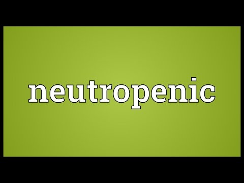 Neutropenic Meaning @adictionary3492