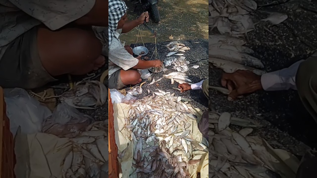 fish market complex view part-4 