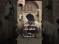 قصيدة قد يعتلي ظهر الجياد ذباب بصوت أبو مصعب
