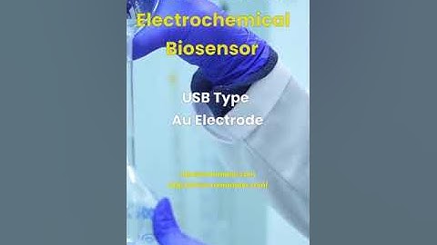 Au Electrode for Electrochemical Biosensor