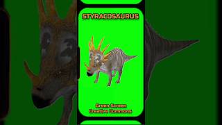 Styracosaurus Dinosaur Animation On A Green Screen. Green Screen Video Footage.
