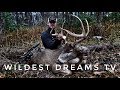 Iowa Bow Hunt | "Beating Bochephus" | Wildest Dreams Tv