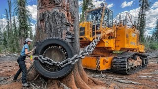 250 Heavy Machinery: Incredible Fastest Big Chainsaw Machines For Cutting Trees ▶Mach Tech