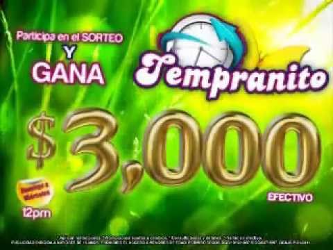 WATCH Before you Book! LOPESAN COSTA BAVARO 2024 REVIEW- Punta Cana. BAD Reviews Confirmed?