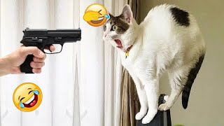 You Laugh You Lose 🐈🐕 Funniest Dogs and Cats 2024 😹🐶