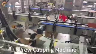 Screw Capping Machine for Glass Bottle, Screwing Capper Machine for Plastic Container, Cap screwer