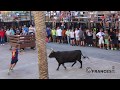2019 AYORA, Fiestas Tarde de Vacas