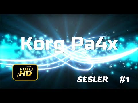 MÜKEMMEL! KORG PA4X