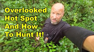 Over Looked Early Deer Season Hot Spot And How To Hunt It