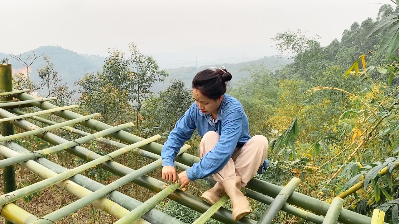150 Days Building A Bamboo House In The Forest, Single Mother Life And ...