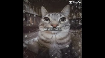 it’s 6:00 in the morning..