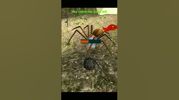 tarantula VS rescule spider part.02 #shorts