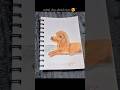 dog drawing / sketch #monachande #pencildrawings #coloredpencildrawings #drawingideas