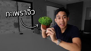 ปลูกกะเพราใน 16 วันได้ไหม!? | บอสเล่นของ