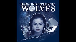 Selena Gomez, Marshmello- Wolves ( J Fla cover) [ Lyrics]