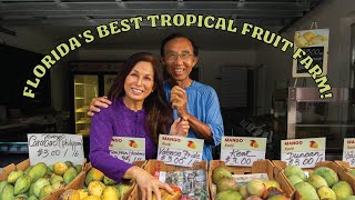 Hot Tropic Fruit Farm Vườn Trái Cây Pine Island, Florida